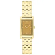 Amber dial / Gold-tone