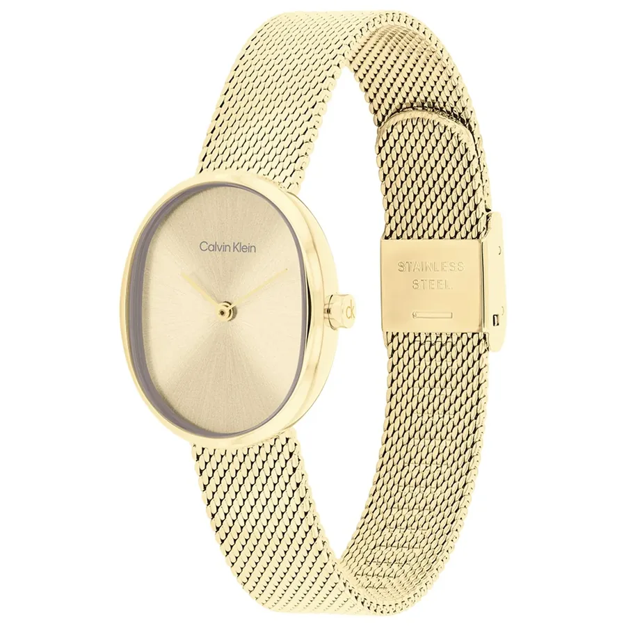 Calvin Klein Euphoria 23mm Gold Dial, view 4