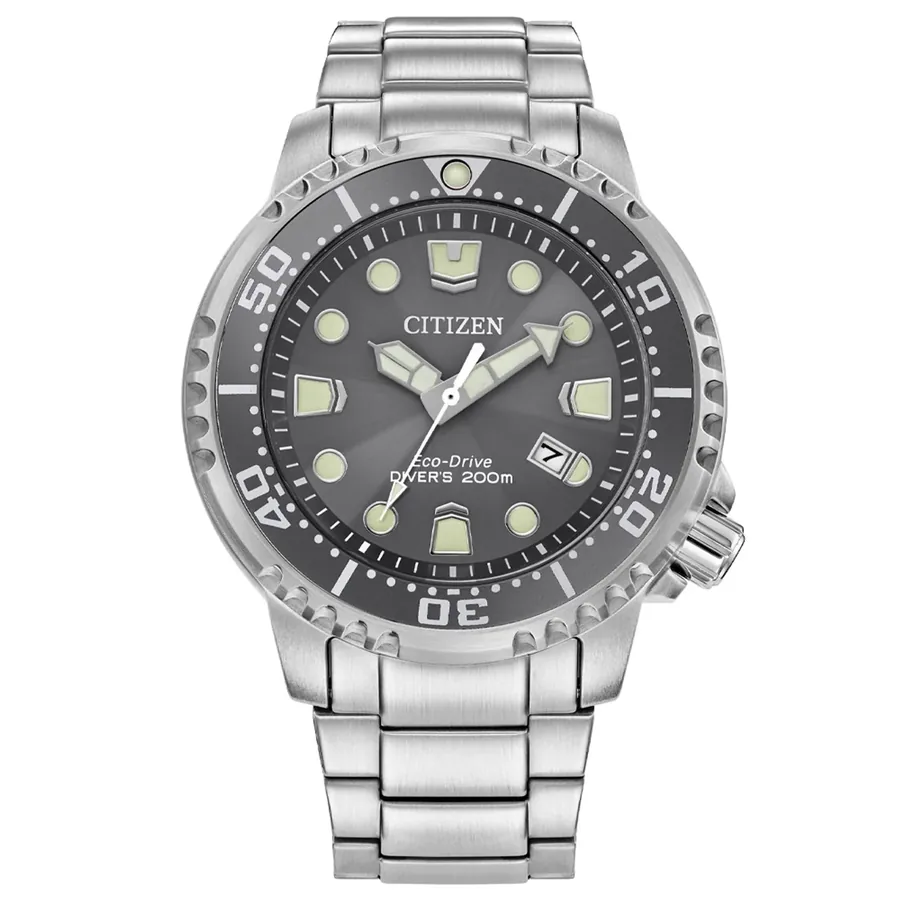 Citizen Dive 44mm Grey Dial, front view