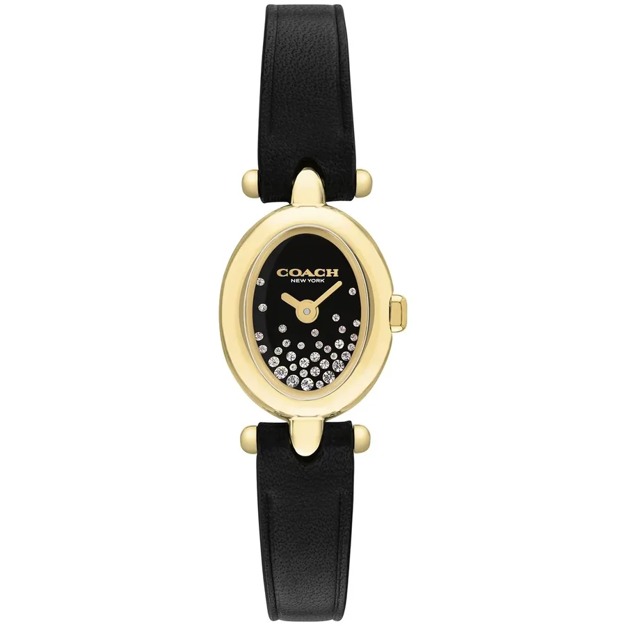 Coach Sammy 18x22.5mm Black Dial, front view