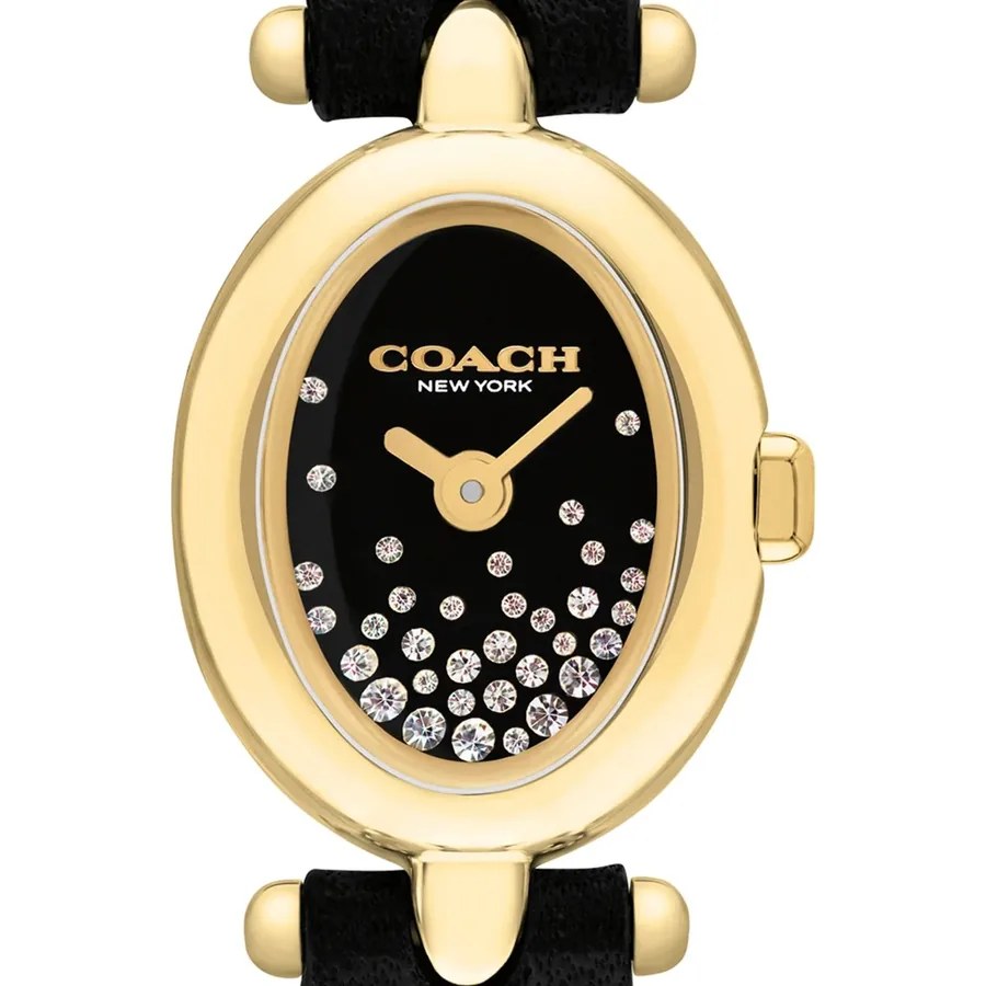 Coach Sammy 18x22.5mm Black Dial, view 2