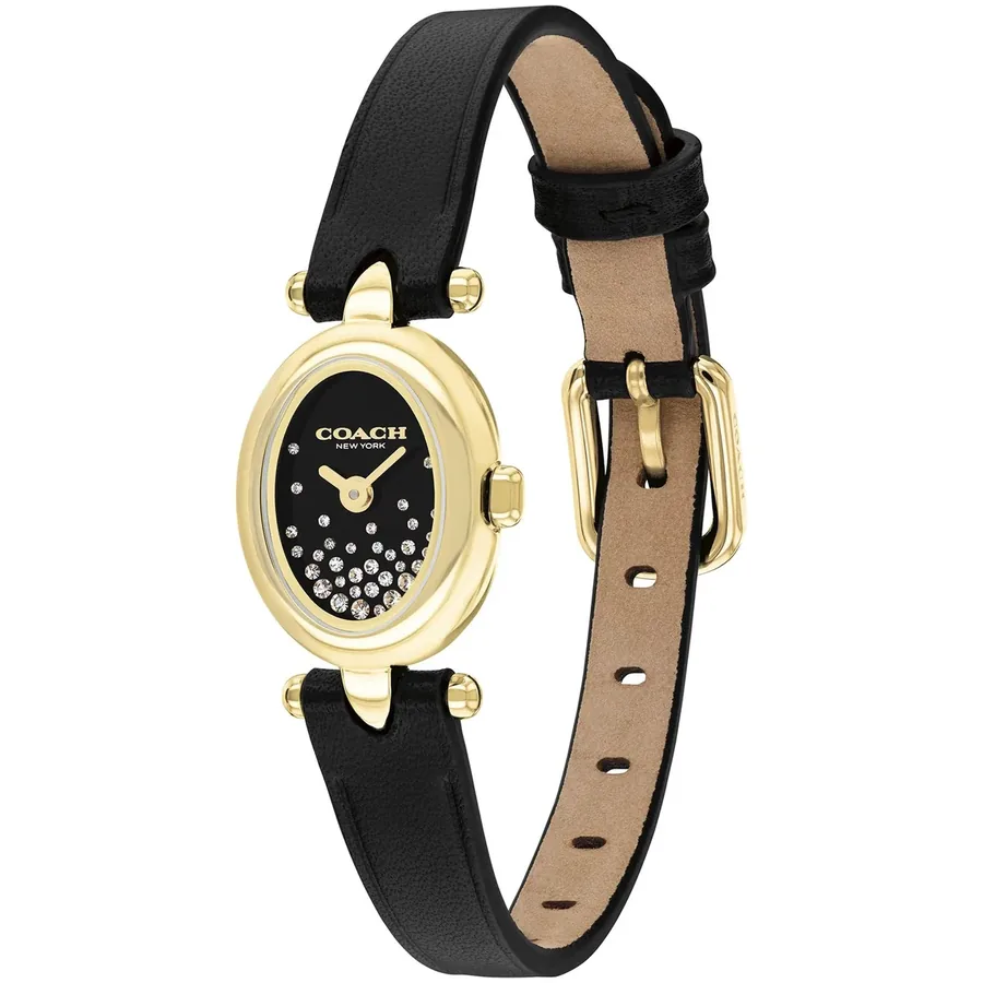 Coach Sammy 18x22.5mm Black Dial, view 3