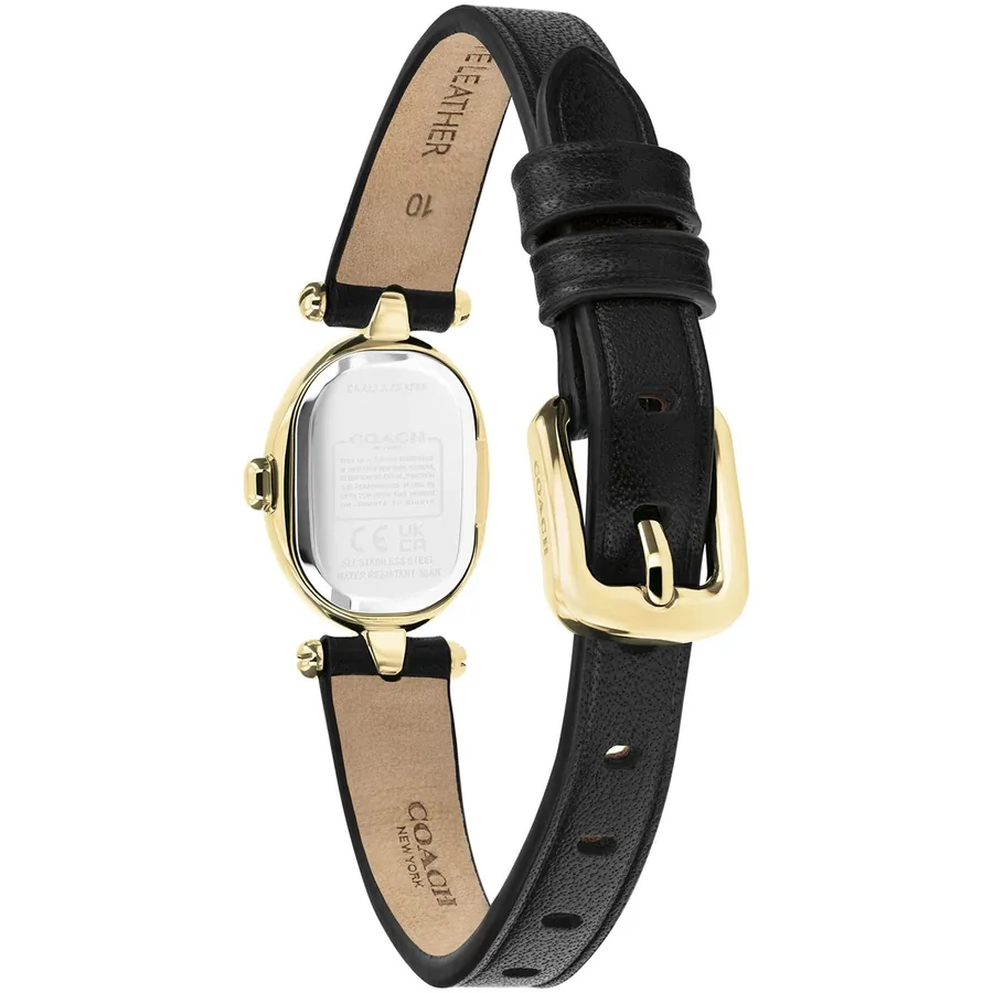 Coach Sammy 18x22.5mm Black Dial, view 4