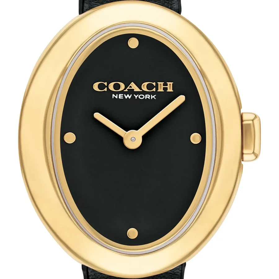Coach Sammy 22mm Black Dial, view 2