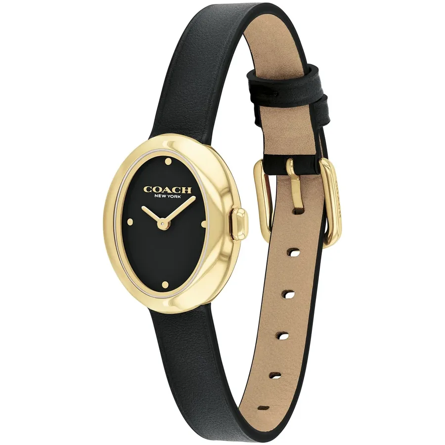 Coach Sammy 22mm Black Dial, view 3