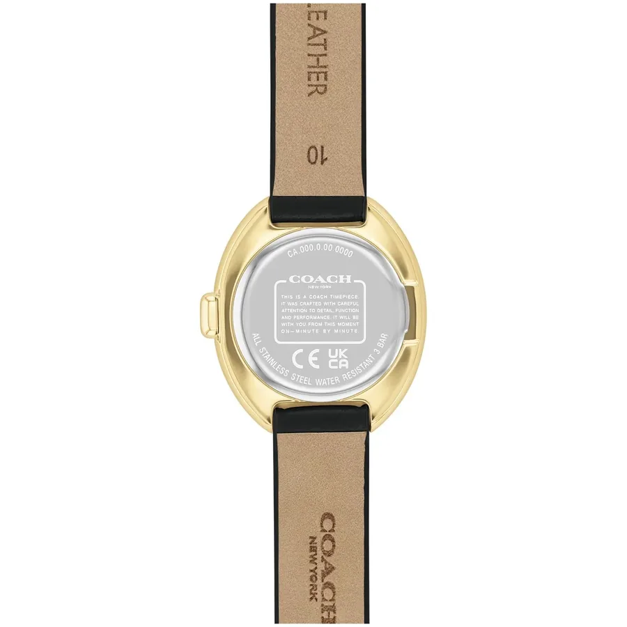 Coach Sammy 22mm Black Dial, view 4