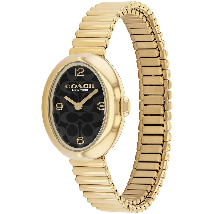 Coach Sammy 22mm Black Dial, Gold-Tone Stainless Steel Bracelet, view 4