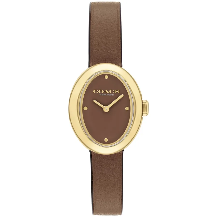 Coach Sammy 22mm Brown Dial, front view