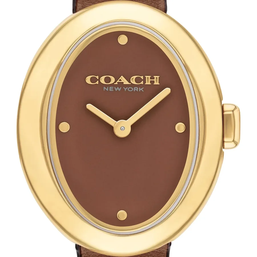 Coach Sammy 22mm Brown Dial, view 3