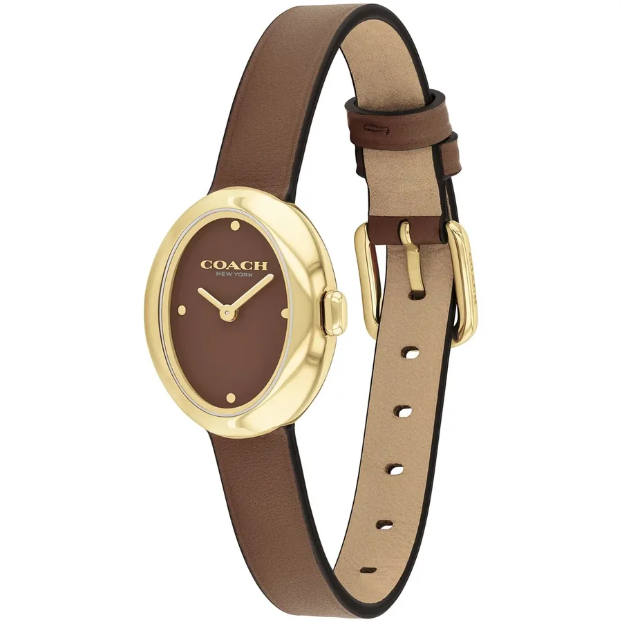 Coach Sammy 22mm Brown Dial, view 4