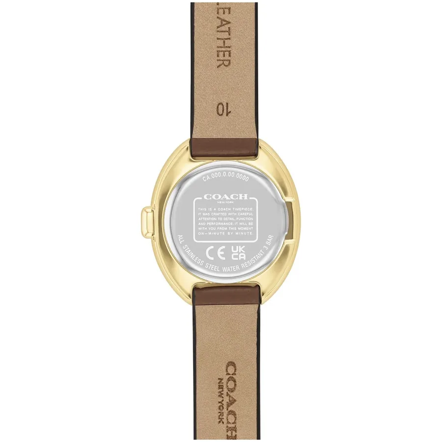 Coach Sammy 22mm Brown Dial, view 5