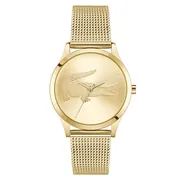 Gold dial / Gold-tone
