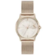 White dial / Rose gold-tone