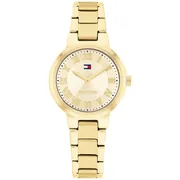 Champagne dial / Gold-tone