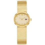 Gold dial / Gold-tone